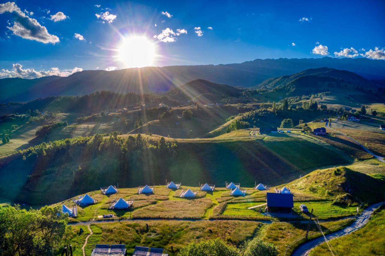 Ursa Mica Glamping 4*